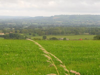 View from Marshwood